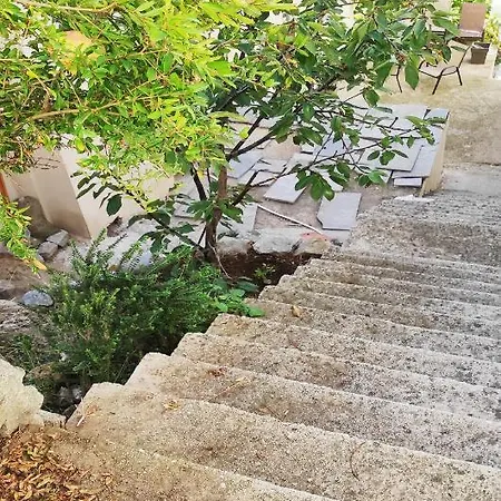 Feel The Sea * Палеон-Цифликион