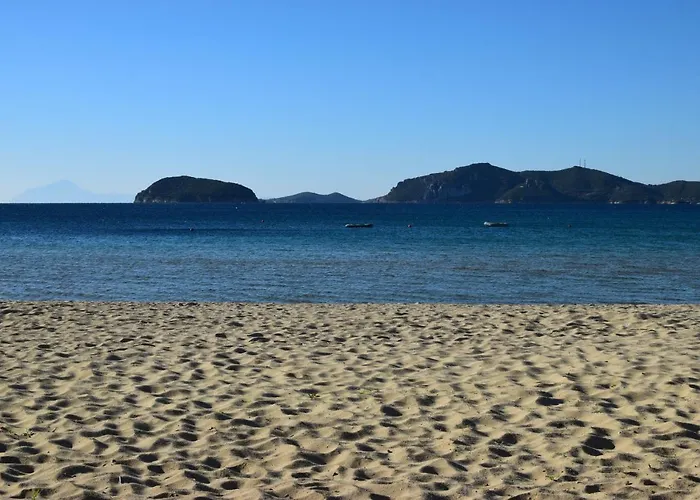 Feel The Sea