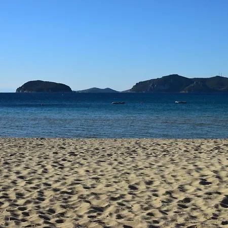 Feel The Sea